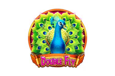 Double Fly Slot